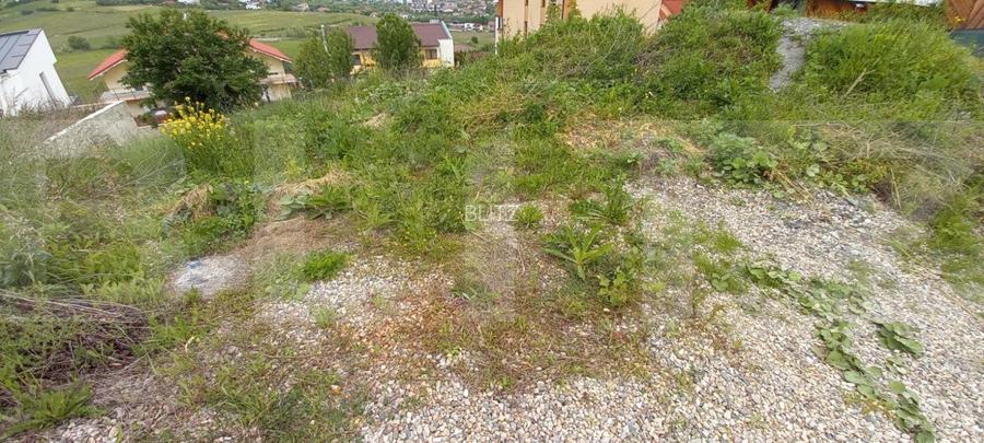 Oportunitate! Teren intravilan Borhanci, 1050 mp, zona Calea Borhanciului! - 2