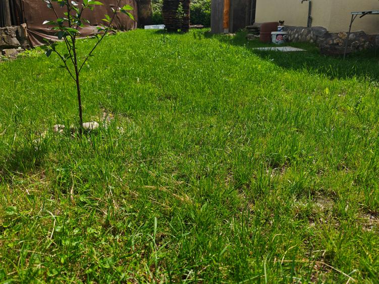 Casa 4 camere libera la vanzare RASNOV - zona Mihai Eminescu
