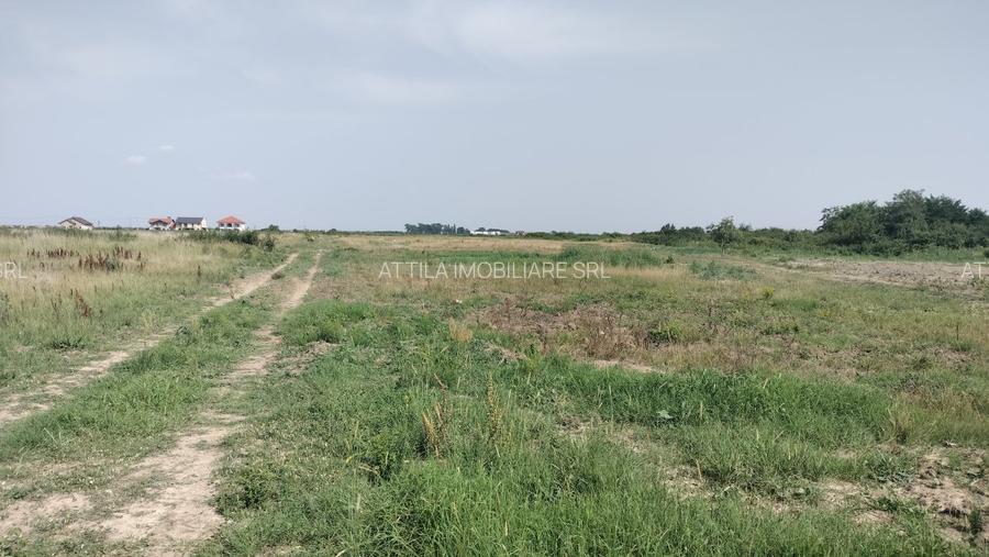 Vând teren in Mosnita - Calea Urseni 659 mp 130 euro+TVA - 4