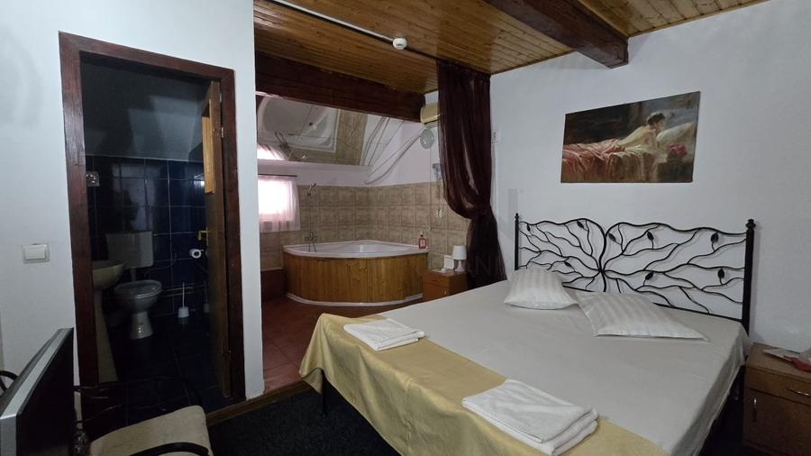 REC3001760 Hotel investitie de vanzare Domnesti