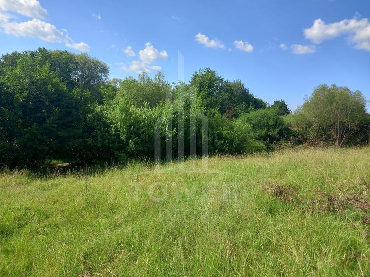 Teren în Fântânele – 3.673 mp, pârâu si cadru natural deosebit
