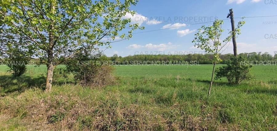 3 loturi de teren langa padure langa lacul Colacu, Dambovita - 5