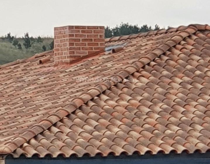 Casă individuală pe un singur nivel cu 743 mp. toate utilitatile Ciugud - 4