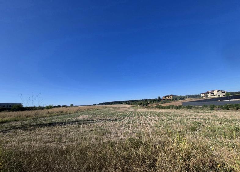 Teren pentru constructie casa cu utilitati – Ciolpani, zona Izvorani