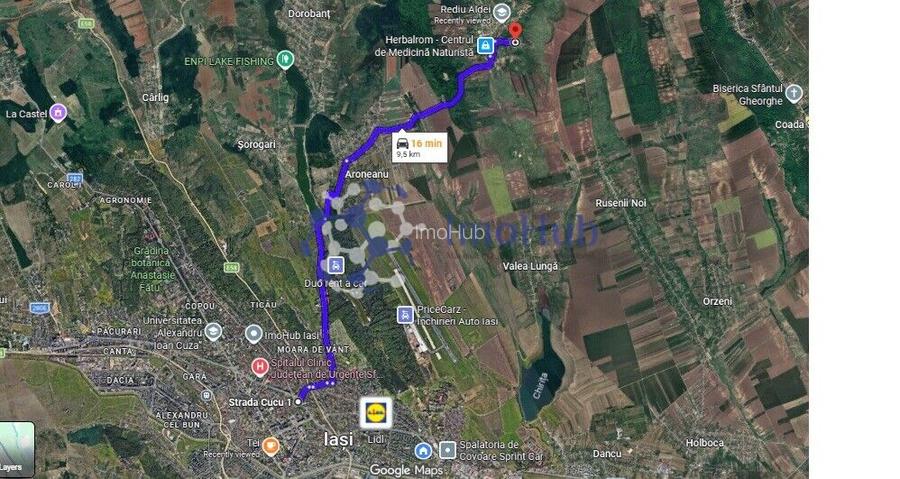 Teren intravilan 10.000 mp în Rediu Aldei (Aroneanu) - 3