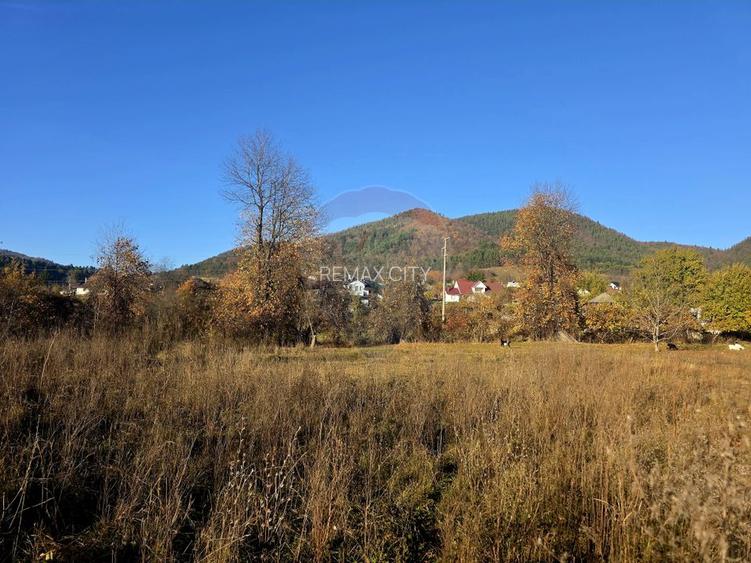 Teren 6,874mp Alexandru cel Bun / Strada plopusor - 10
