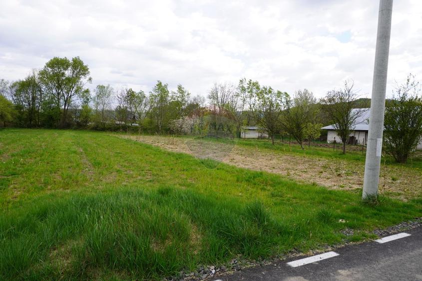 Teren Intravilan de 2.216 mp în Sarasău
