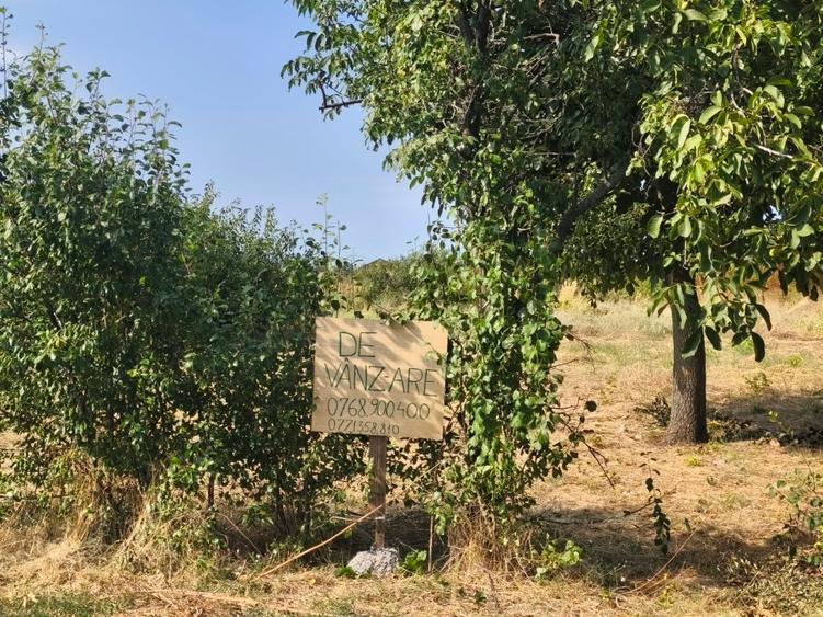 Teren intravilan Carcea str. Manastirii