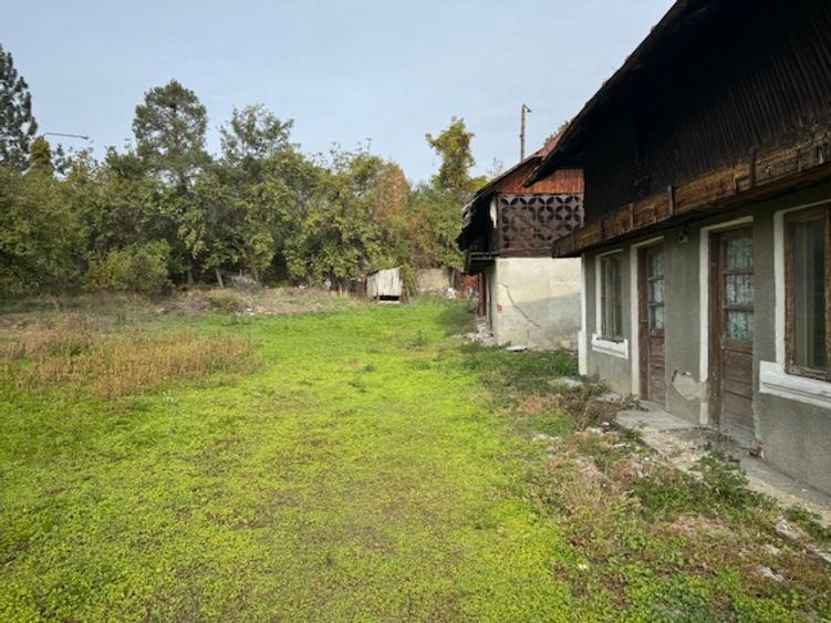 Pitesti-Stefanesti-Crama Stefanesti teren de vanzare Comiaion 0
