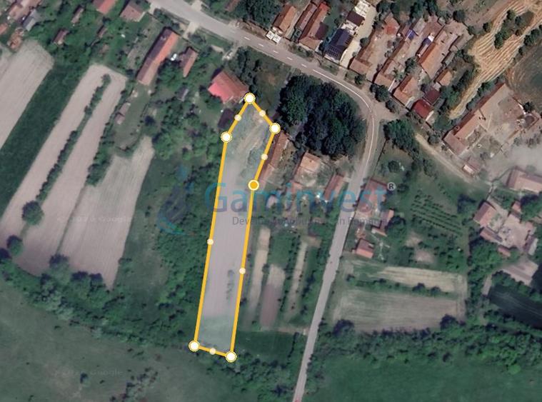 Teren intravilan de vanzare in Niuved, loc Tamaseu, Bihor