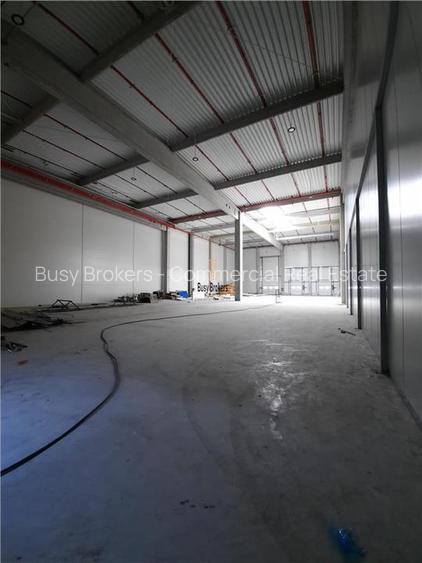 Spatiu Industrial - 5500 mp - Logistica - Productie - Depozitare - Distributie - 10