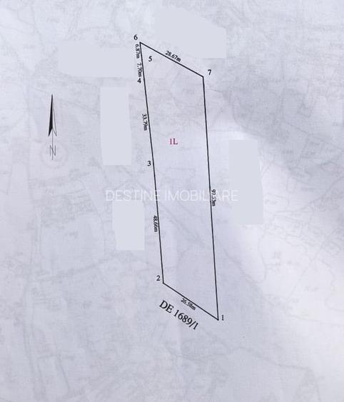 Teren intravilan 2170 mp la drum asfaltat - Chicerea - 5