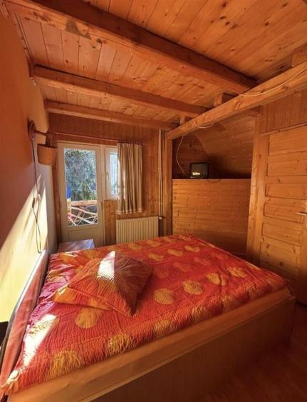 Cabana in Arieseni