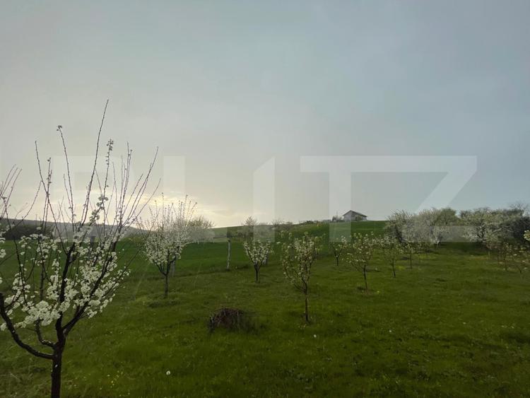 Teren intravilan, 4447 mp, 28 ml deschidere, Pielesti