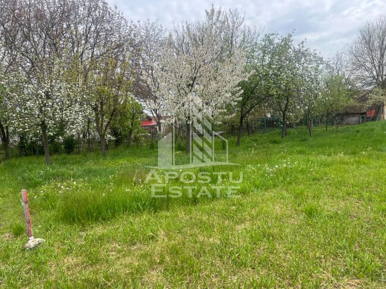 Teren de vanzare, 1001 mp, vatra veche, in Sanandrei, Timis