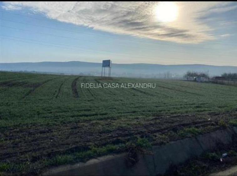Teren la DJ248 - 19.201mp - Valea Satului, Grajduri - 3