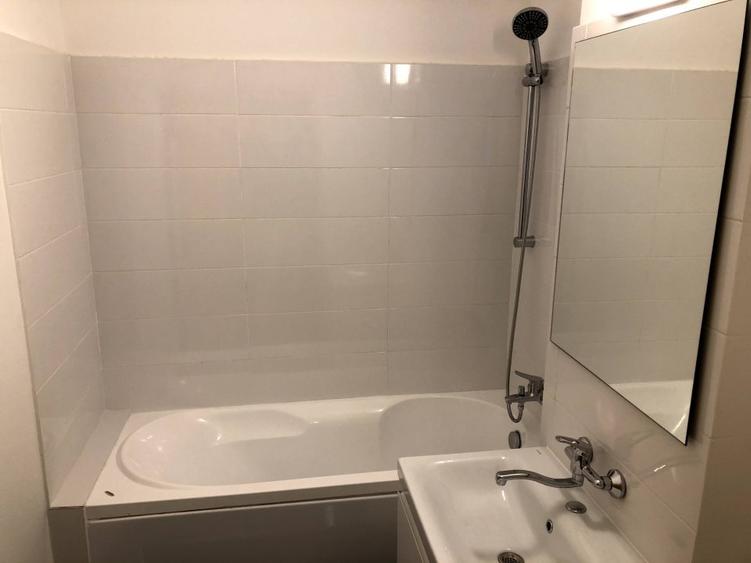 PROPRIETAR , decomandat  pe BV BARNUTIU