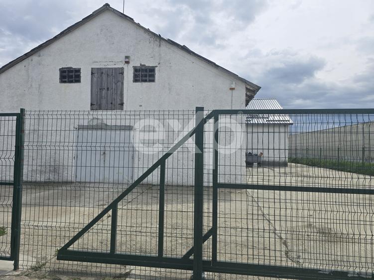 De inchiriat/Spatiu 100 mp in hala, destinatie multifunctionala Codlea