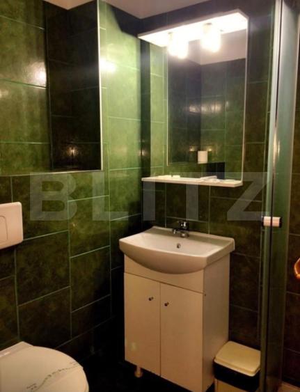 Pensiune 16 camere, 450 mp, zona Lugojului