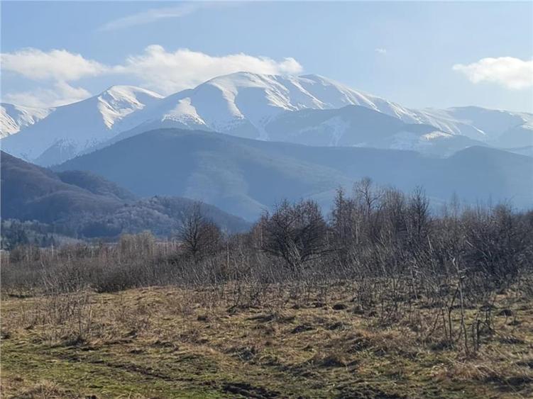 Teren intravilan 2500mp  pe Valea Avrigului,optim casa de vacanta