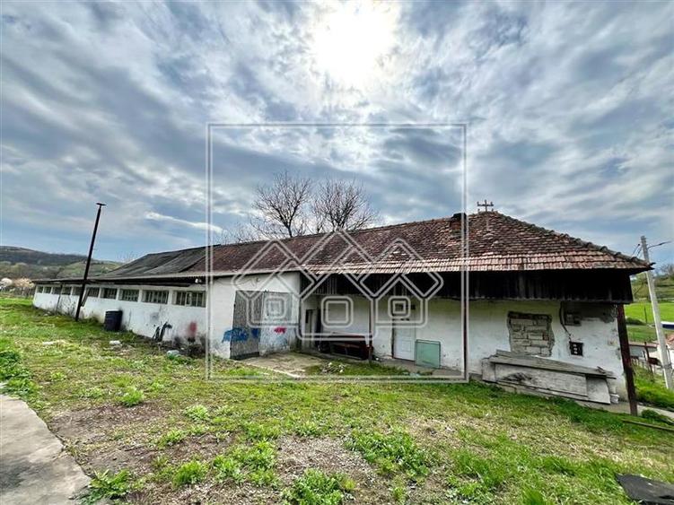 Oportunitate de investitie - constructii si teren 2700 mp - Seica Mica