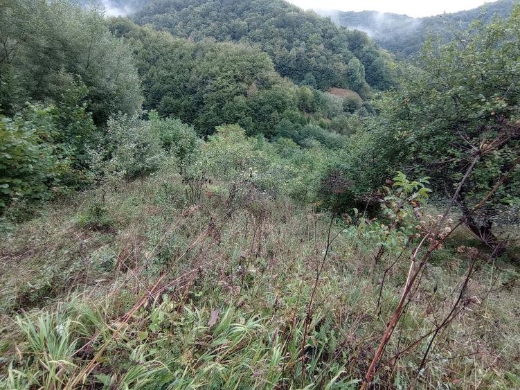 Proprietar-Vând două terenuri, unul de 7.100 mp, celălalt de 25.000 m2