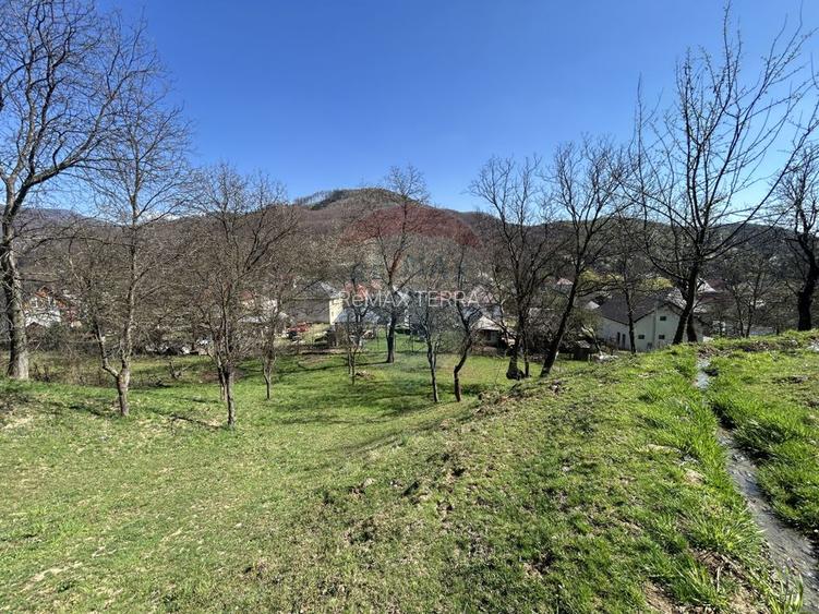 Teren 1,106mp Baia Mare / Strada Firiza - 8