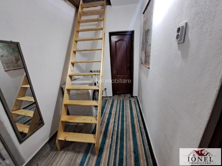 Vanzare casa cu 19.549 mp teren in Vintu de Jos - 6
