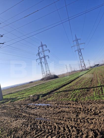 Teren extravilan 5.000 mp | Deschidere 15,79 m | Acces DN7 | Utilități la limită