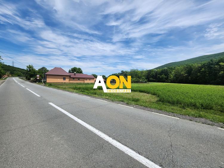 De vanzare teren 936mp cu utilitati, Gura Ampoitei