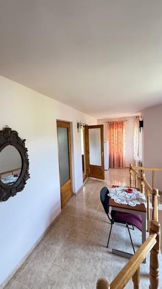 BAIA SPRIE - spre Cavnic Vila D+P+E 168mp + anexa cu teren 1526mp!