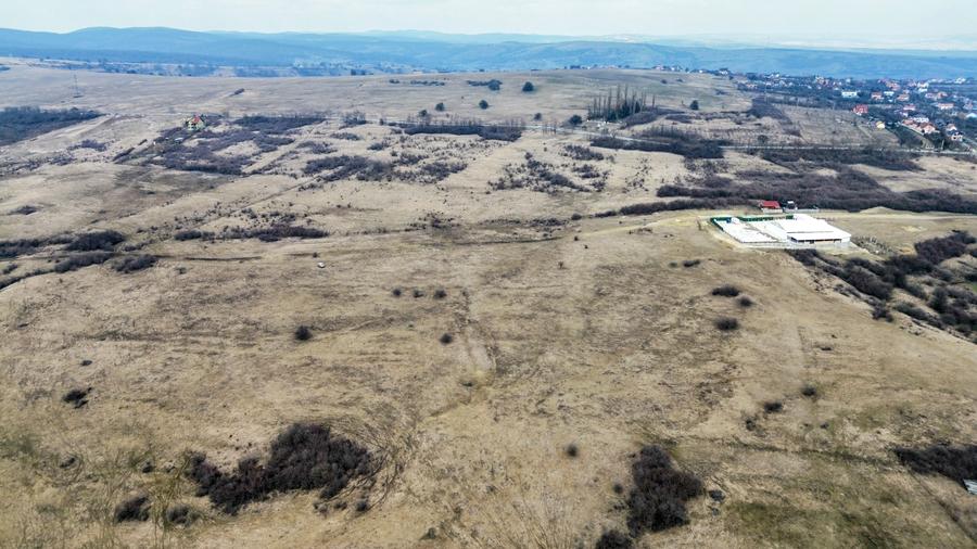 Teren agricol extravilan de vânzare – 67.500 mp – Dealul Daii, Sibiu
