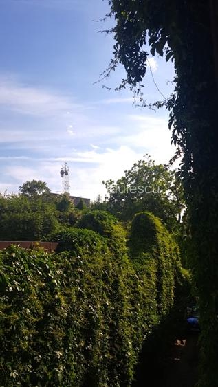 Apartament Interbelic cu Mansarda - Armeneasca - Gradina Icoanei - Universitate - 7