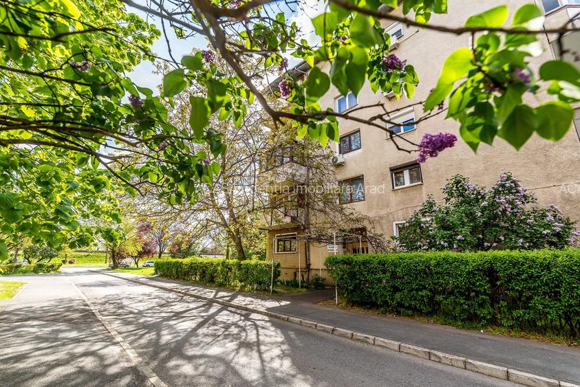 VÂNDUT!  Apartament 3 camere Micalaca 300. Vedere superbă - 9