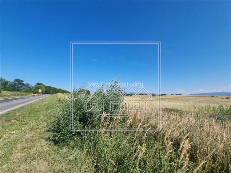 Teren intravilan de 10.000 mp, Calea Surii Mici - 4
