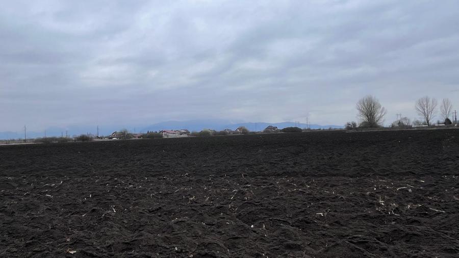 Teren 50000mp Extravilan-Intrare Halchiu-Cod 5235