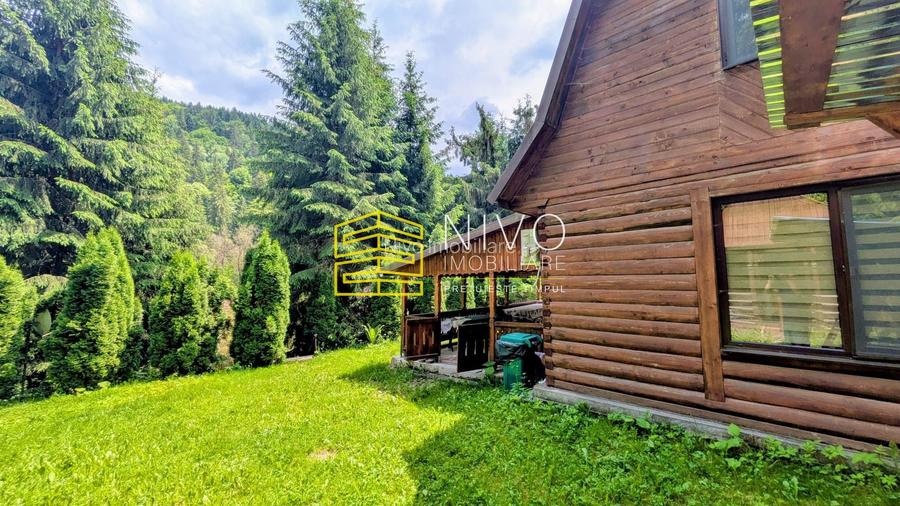 Cabană – Mureș – Sălard – Zona Pensiunea Denisa - 4