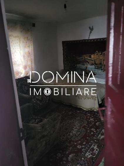 Teren generos 4790 mp + casă tradițională, în loc. Mușetești