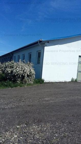 Spatiu industrial, Manoleasa, Botosani