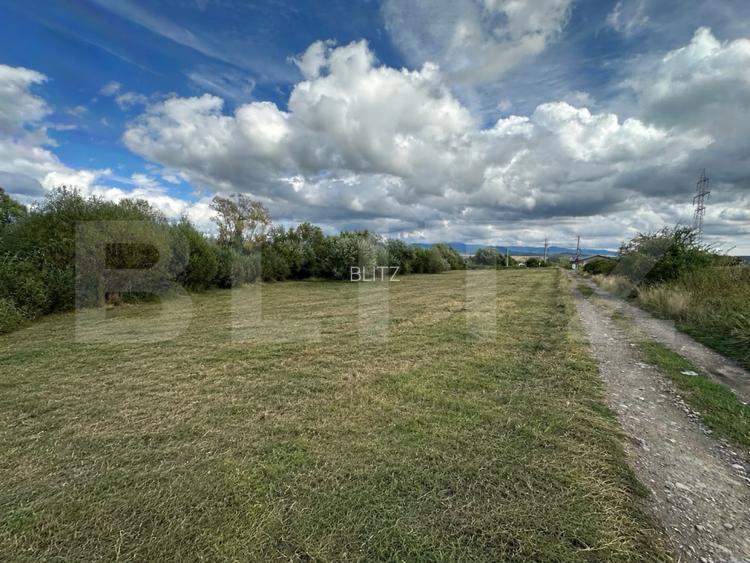 Teren Intravilande vanzrae, 20 Ari, zona Livezile - 2
