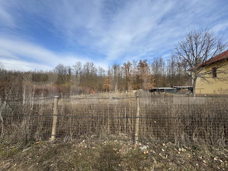 Teren 950 mp intravilan, zona Dragoieni