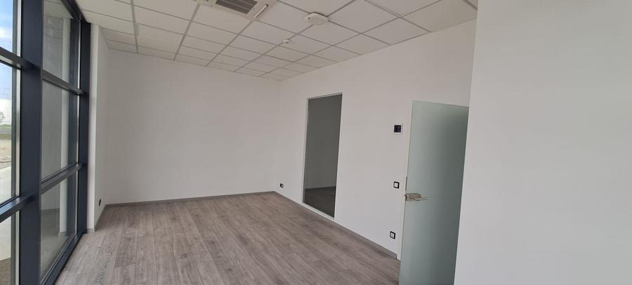 Spatiu de depozitare si productie Mogosoaia