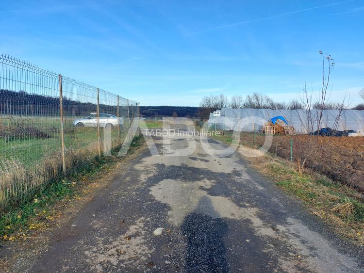 Teren intravilan 1687 mp pentru cabana zona de gradini Cisnadie - 3