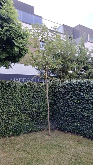 Vila Premium Pipera ~ Siguranta & Exclusivitate - 19