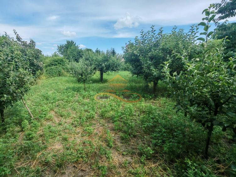 Casa complet mobilata, 3 dormitoare, garaj și livada – Racaciuni