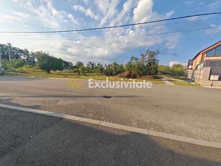 Teren intravilan 1.600 mp Mioveni – Zona Pruni