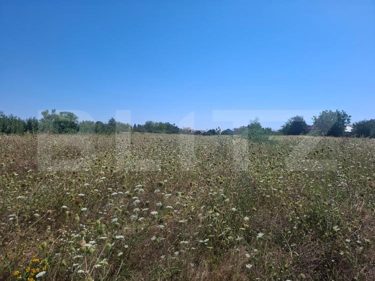Teren de vanzare, 3000 mp, zona Dumbrava