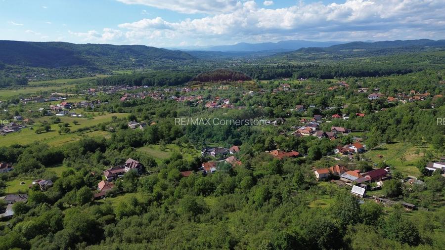 Casă de vânzare in natura la tara - Mihaesti - 11