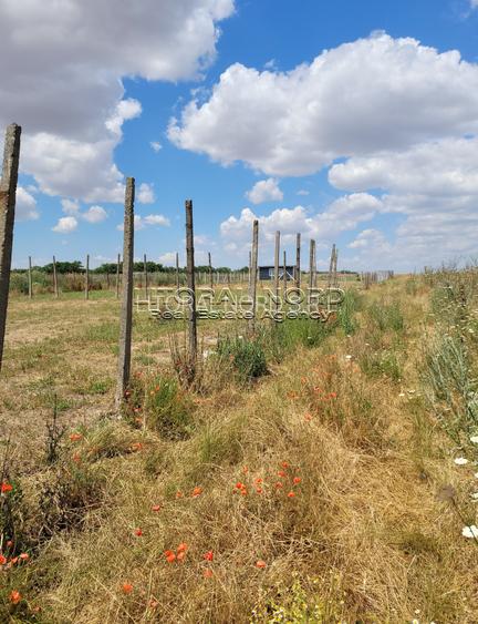 Exclusivitate -Techirghiol, teren intravilan, 423mp, deschidere la strada de 17m - 8