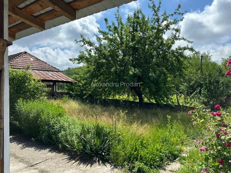 Amarasti Nemoiu in apropiere de Dragasani si Valcea - 11
